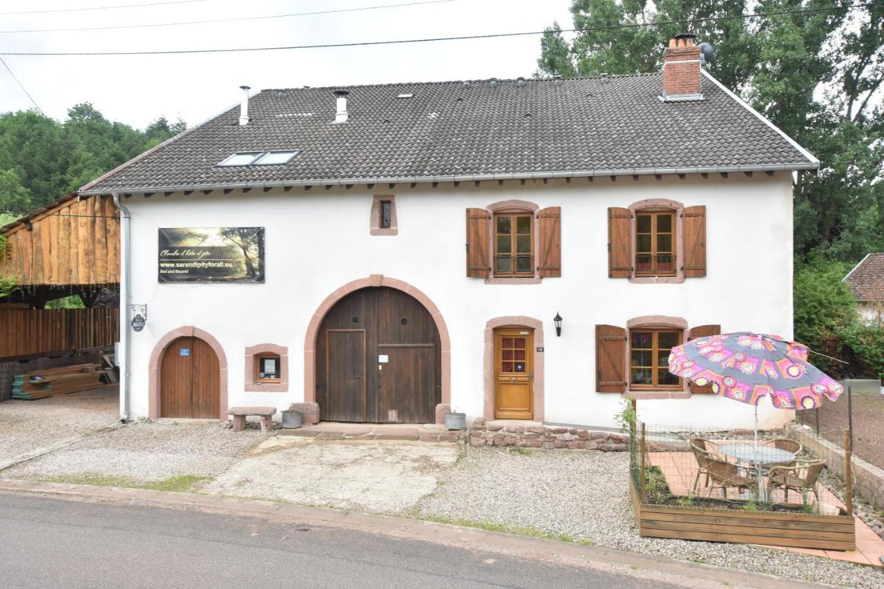 Serendipity Bed&Breakfast Saint-Die-des-Vosges Dış mekan fotoğraf