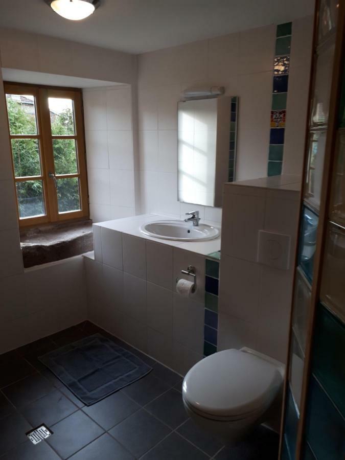 Serendipity Bed&Breakfast Saint-Die-des-Vosges Dış mekan fotoğraf