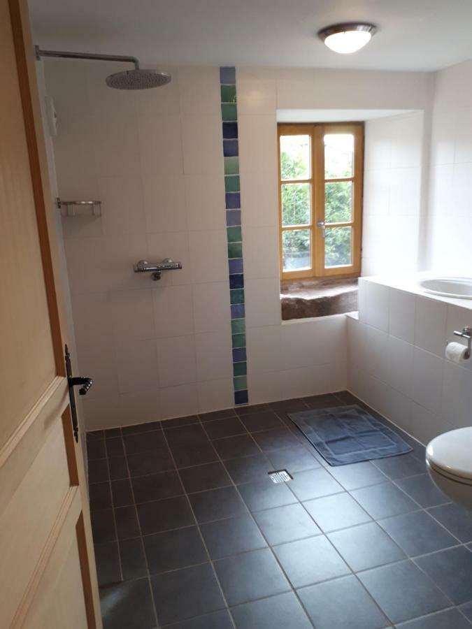 Serendipity Bed&Breakfast Saint-Die-des-Vosges Dış mekan fotoğraf