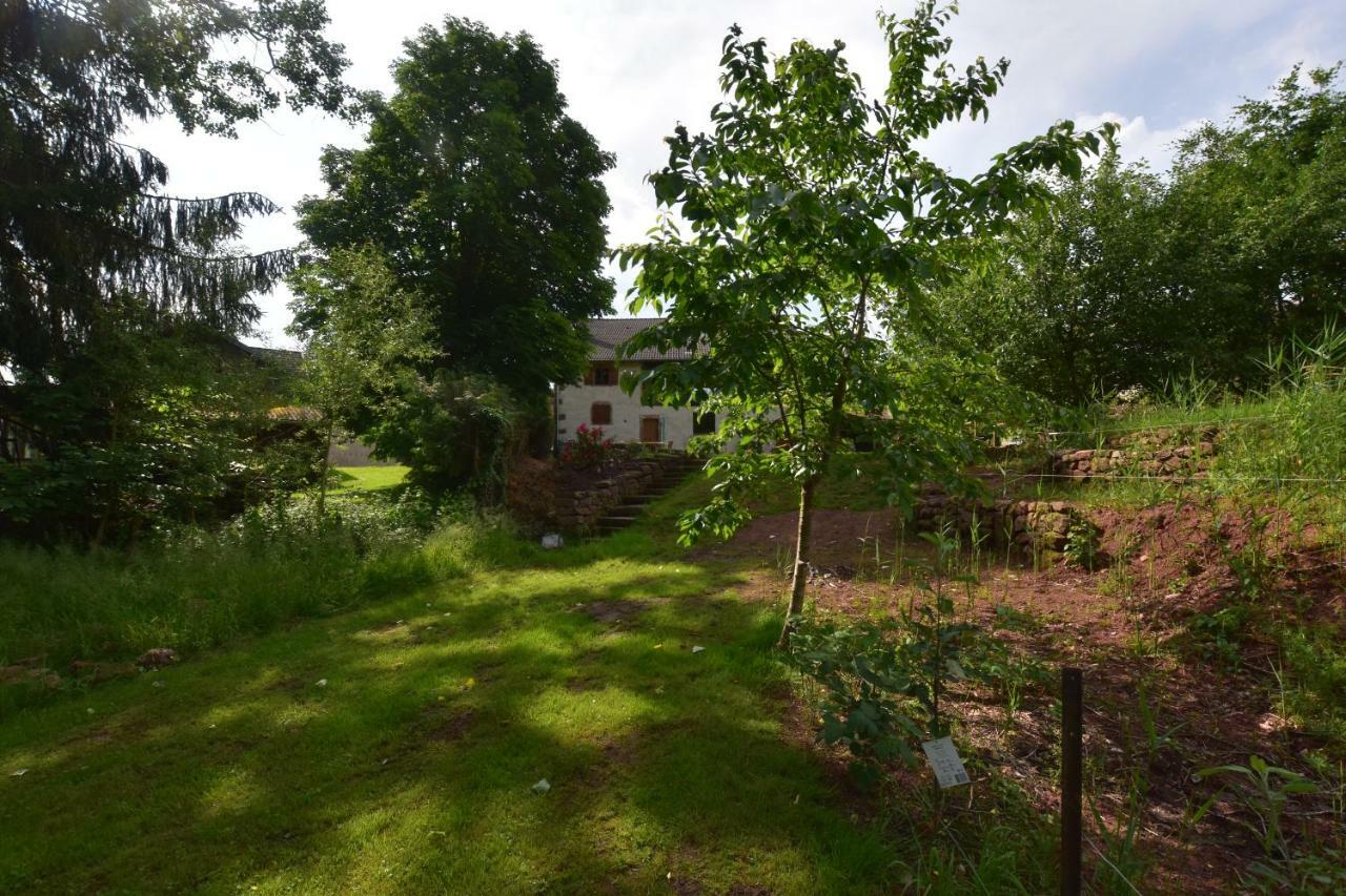 Serendipity Bed&Breakfast Saint-Die-des-Vosges Dış mekan fotoğraf