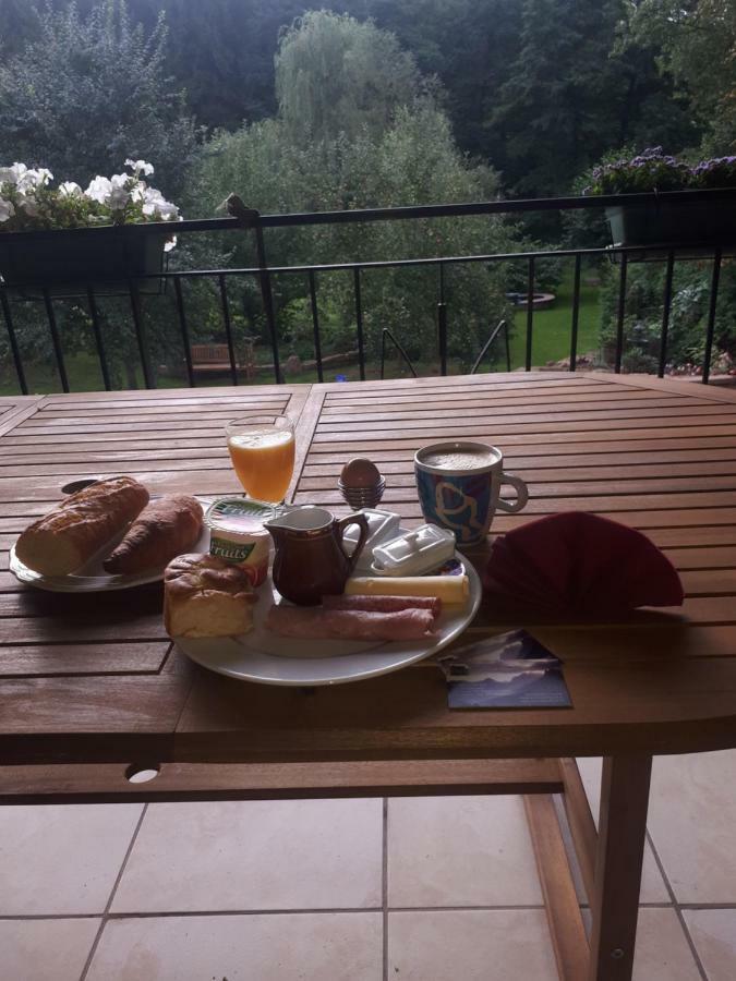 Serendipity Bed&Breakfast Saint-Die-des-Vosges Dış mekan fotoğraf